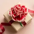Dotted Wrapping Gift Box